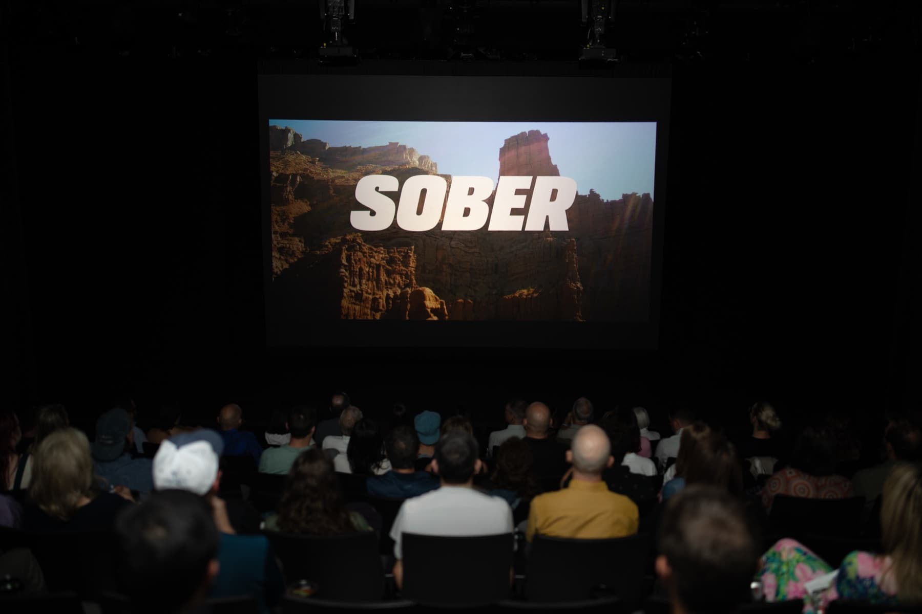 A full theater at a SOBER screening